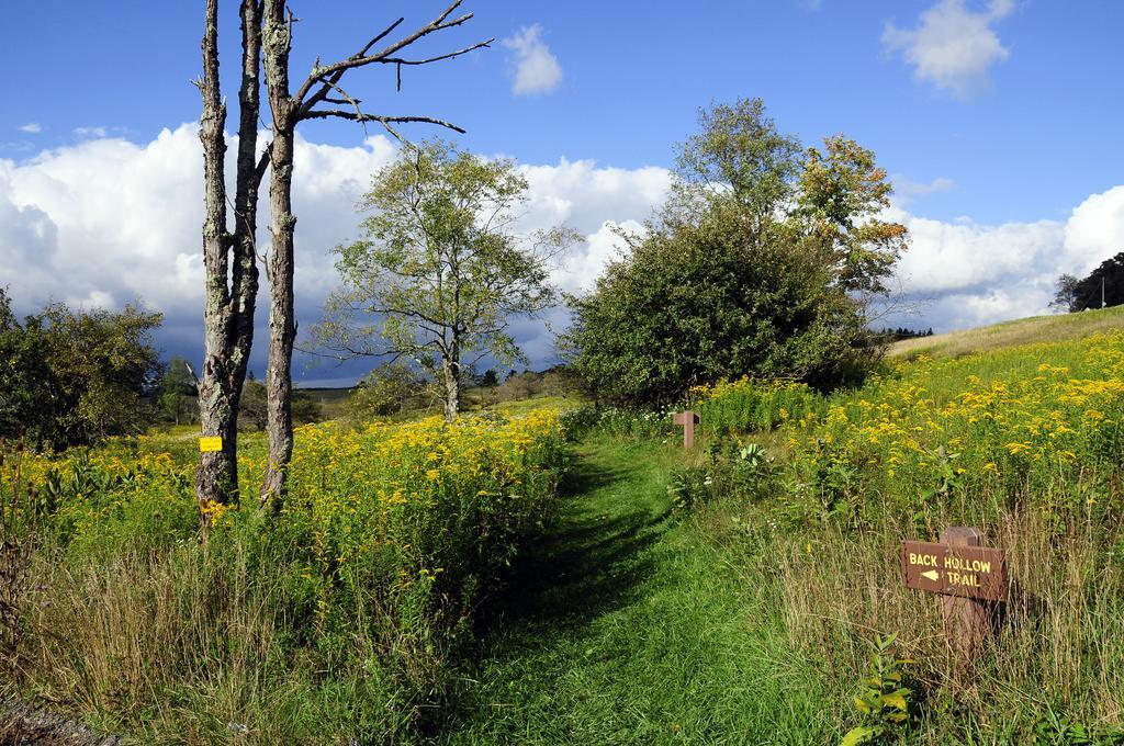 Canaan Valley Resort State Park Davis Luaran gambar