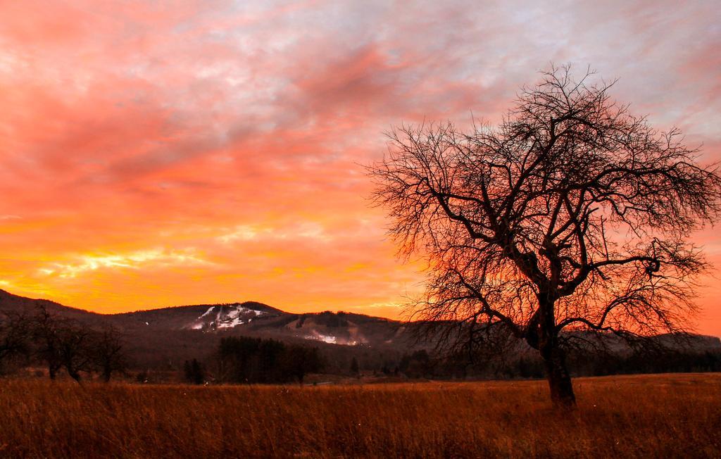 Canaan Valley Resort State Park Davis Luaran gambar