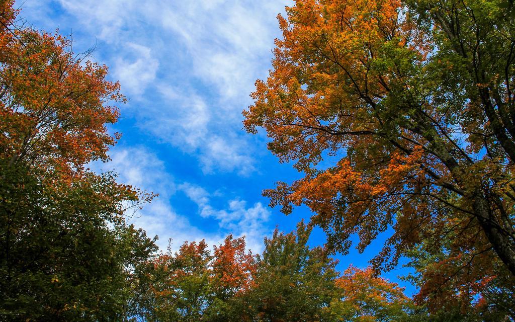 Canaan Valley Resort State Park Davis Luaran gambar