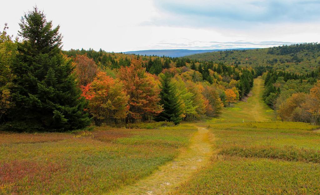 Canaan Valley Resort State Park Davis Luaran gambar
