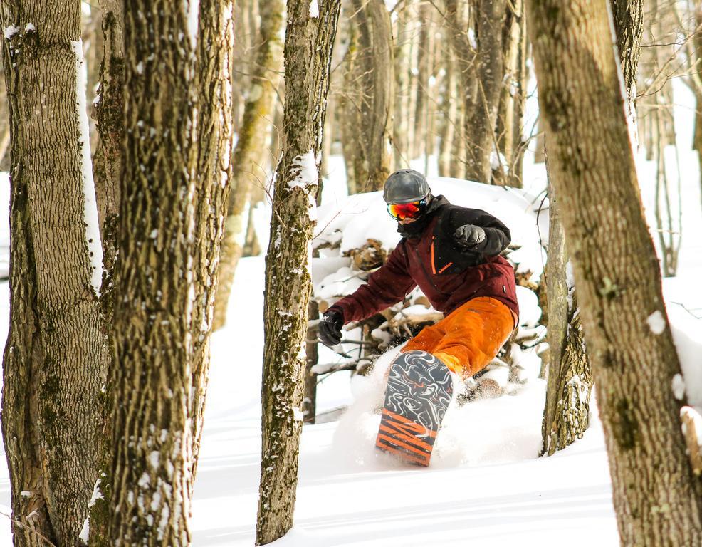 Canaan Valley Resort State Park Davis Luaran gambar