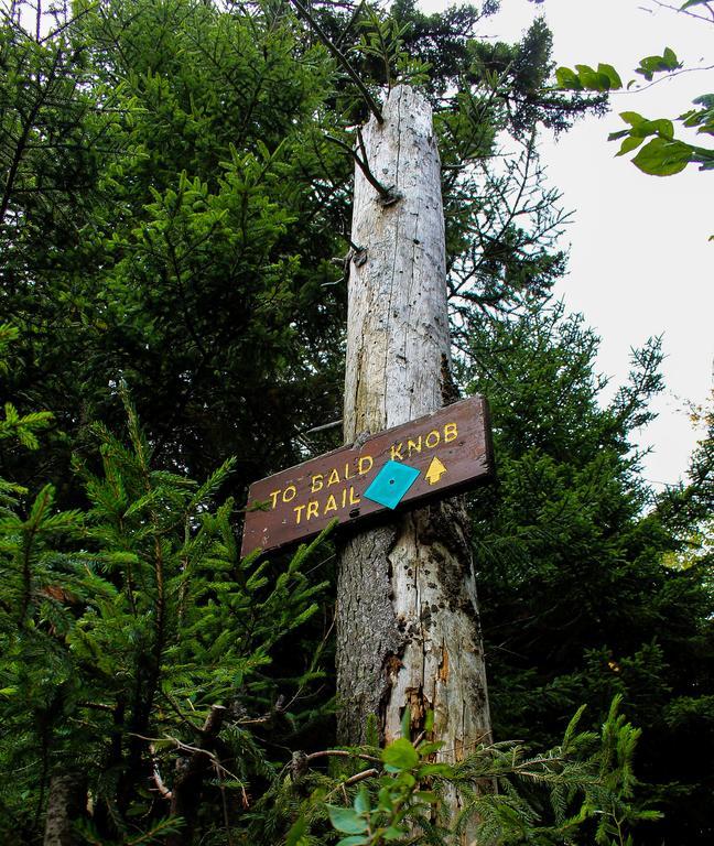 Canaan Valley Resort State Park Davis Luaran gambar