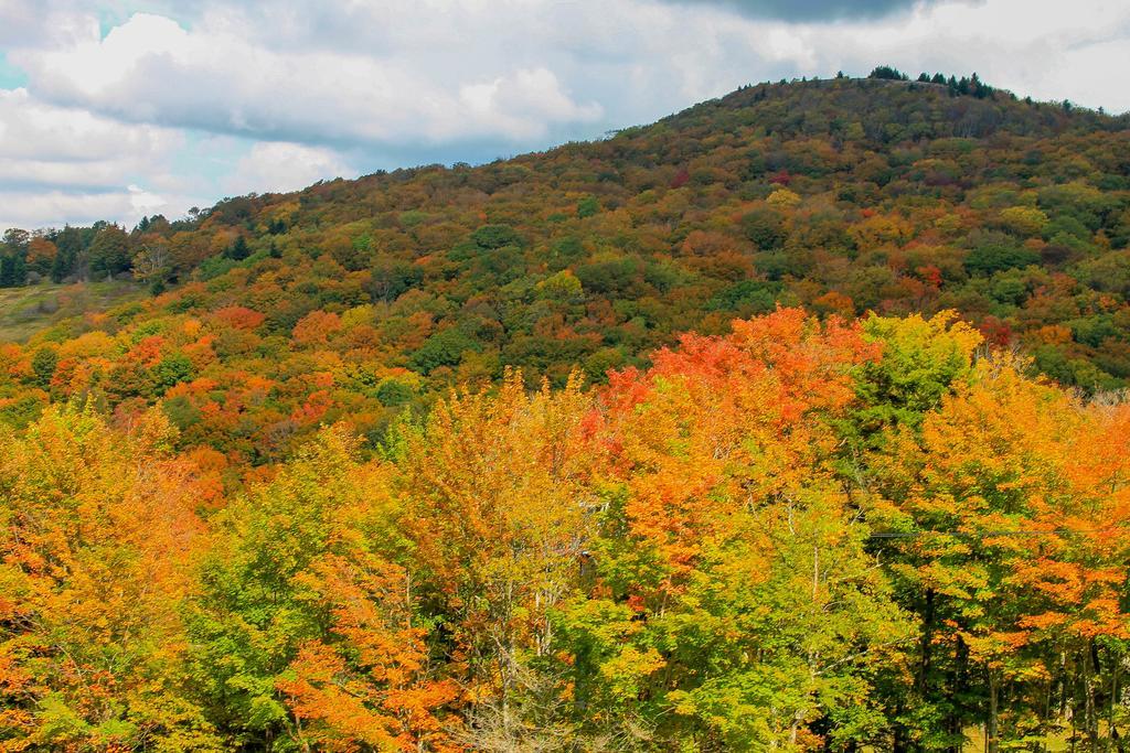 Canaan Valley Resort State Park Davis Luaran gambar