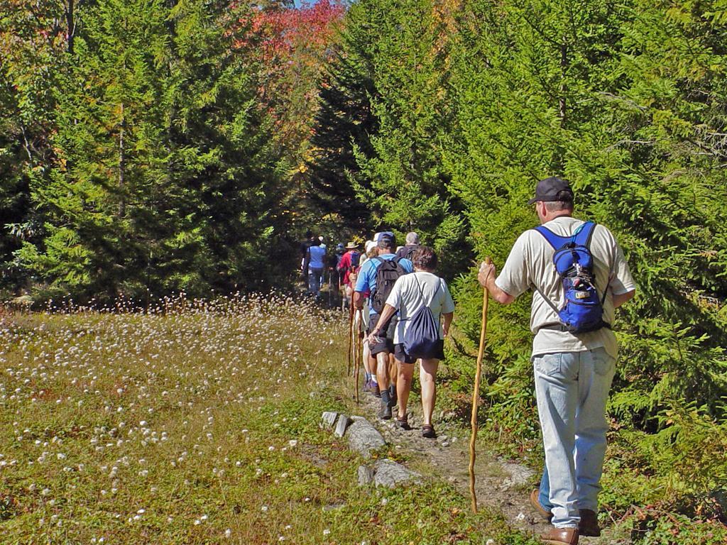Canaan Valley Resort State Park Davis Luaran gambar