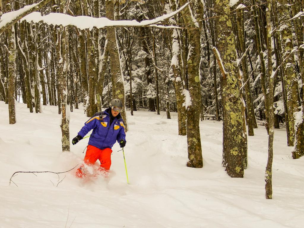 Canaan Valley Resort State Park Davis Luaran gambar