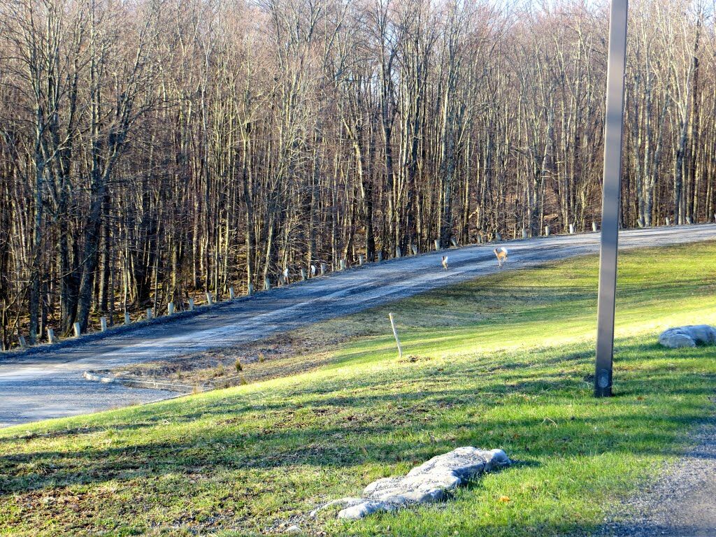 Canaan Valley Resort State Park Davis Luaran gambar